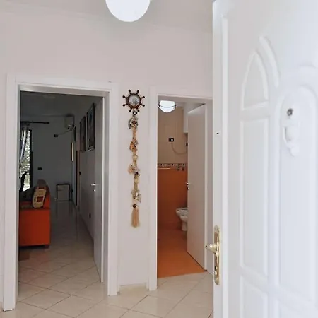 The Authentic House